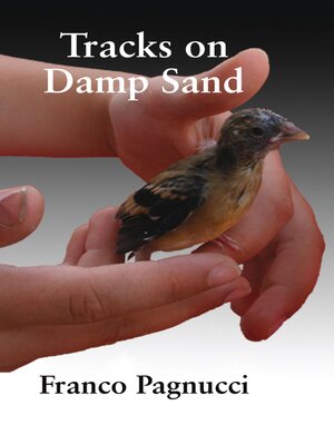 cover image of Tracks on Damp Sand